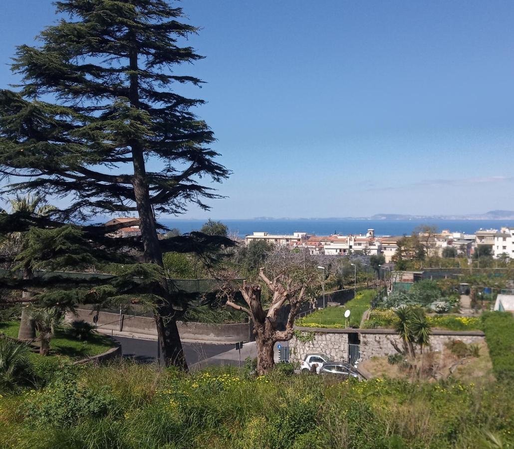 Il Platano Piano di Sorrento Exterior foto