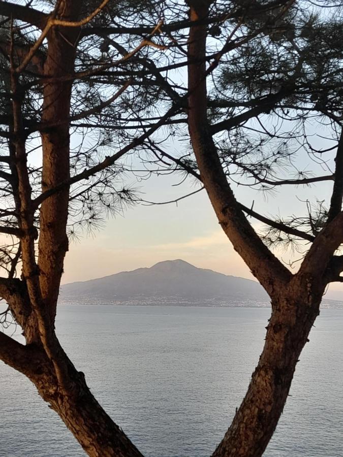 Il Platano Piano di Sorrento Exterior foto