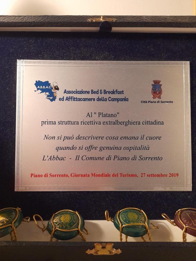 Il Platano Piano di Sorrento Exterior foto