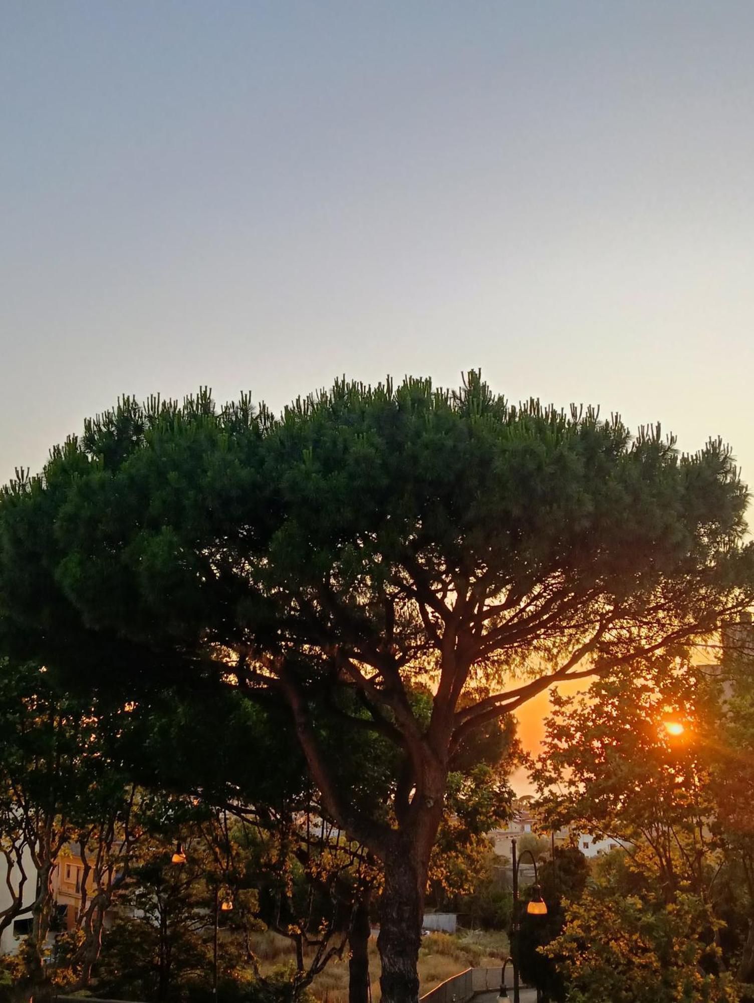 Il Platano Piano di Sorrento Exterior foto