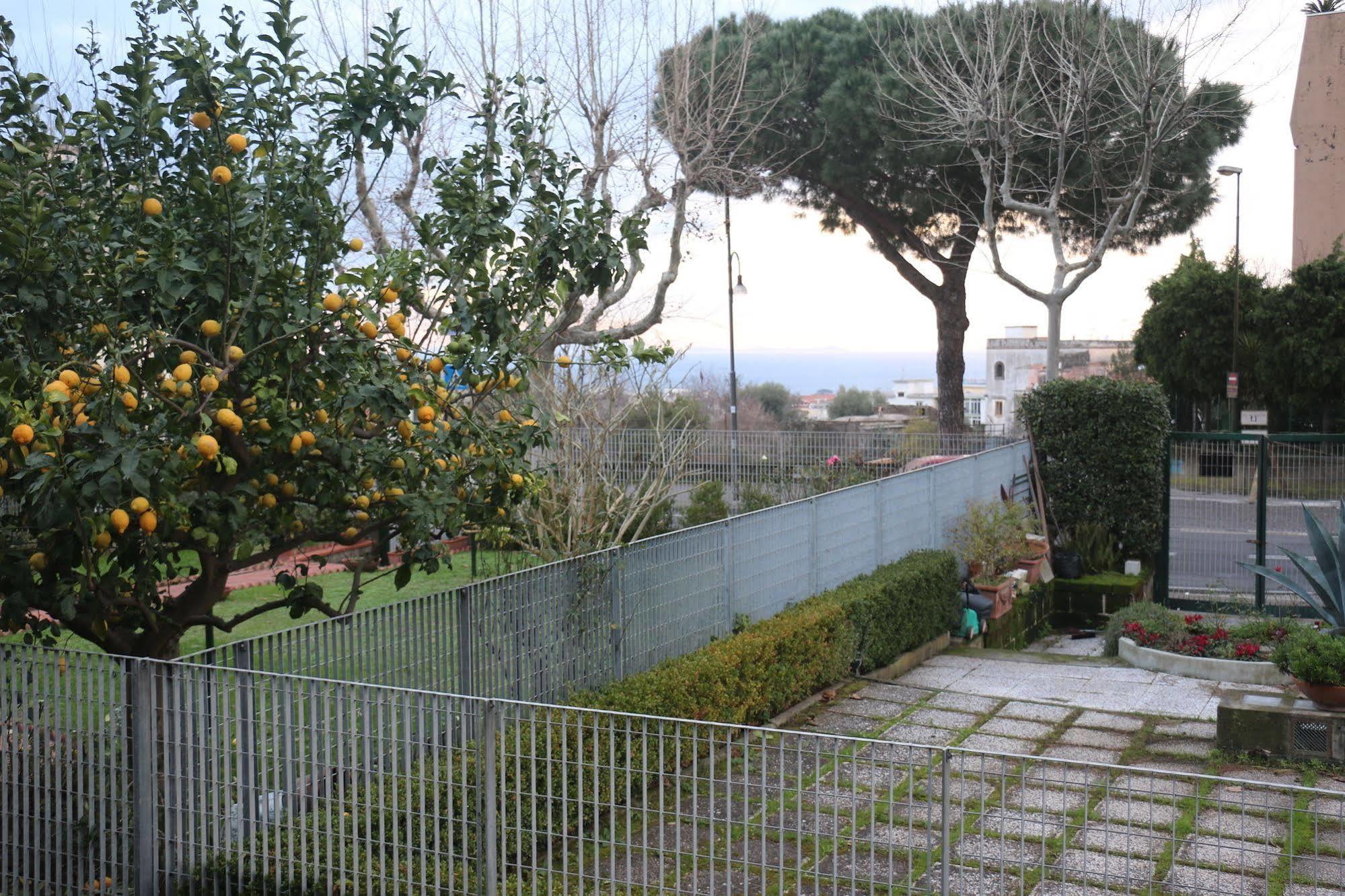 Il Platano Piano di Sorrento Exterior foto